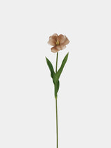 Real Touch Brownie Tulpenstiel – Braun – 48 cm
