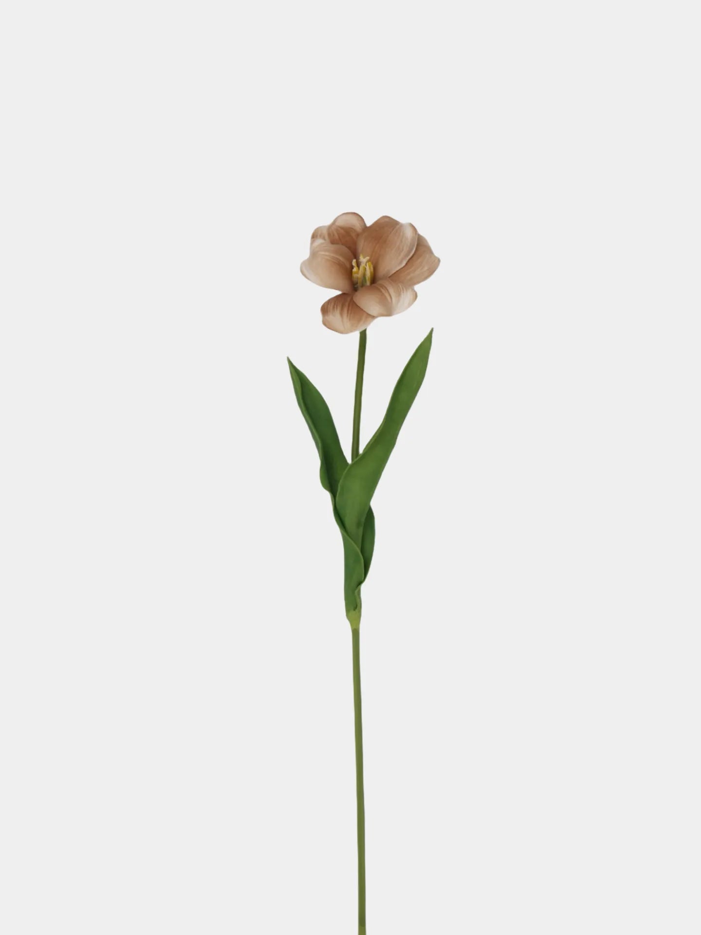 Real Touch Brownie Tulpenstiel – Braun – 48 cm