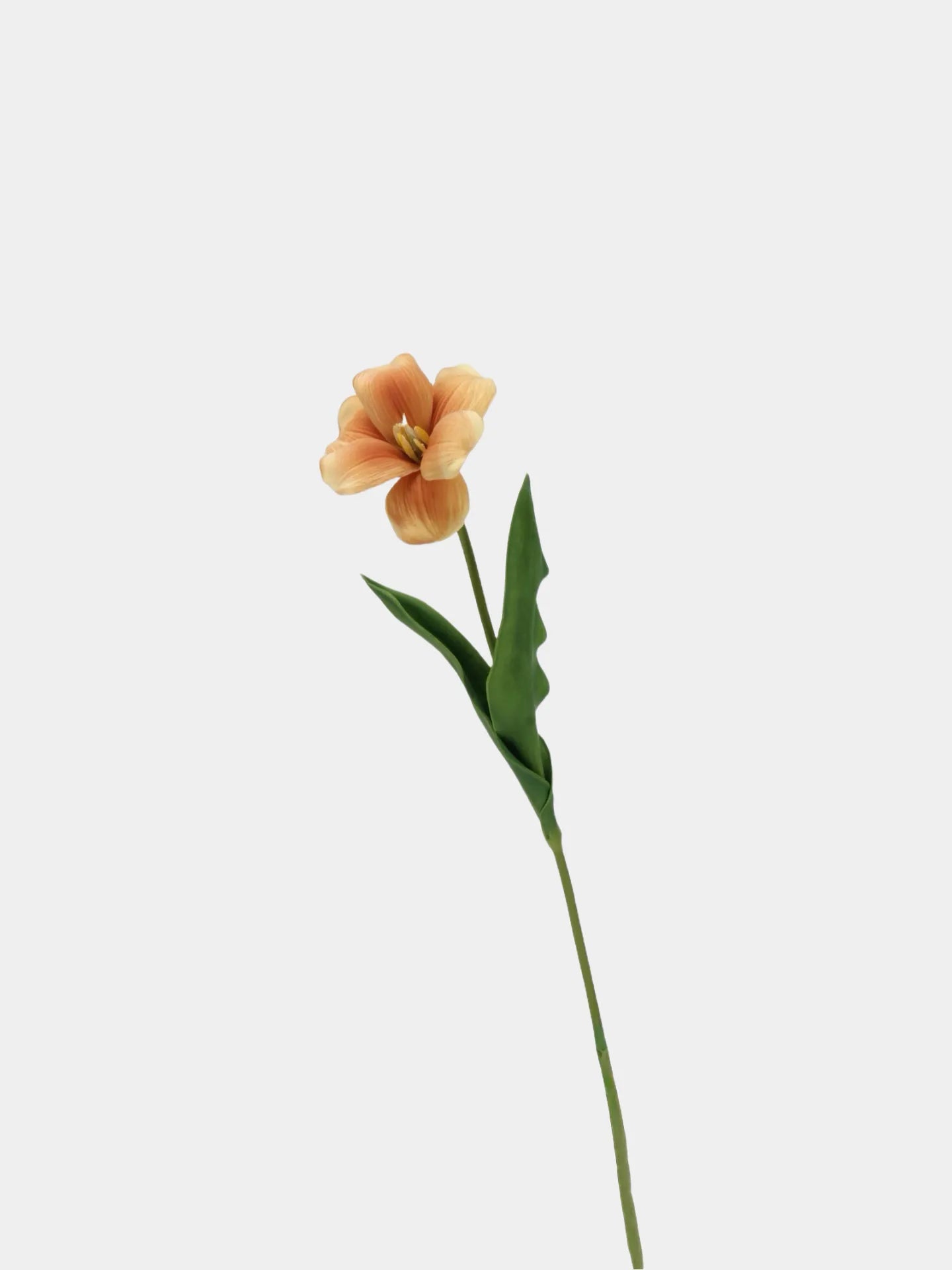 Realistische künstliche Tulpe, Stiel – Orange – 48 cm