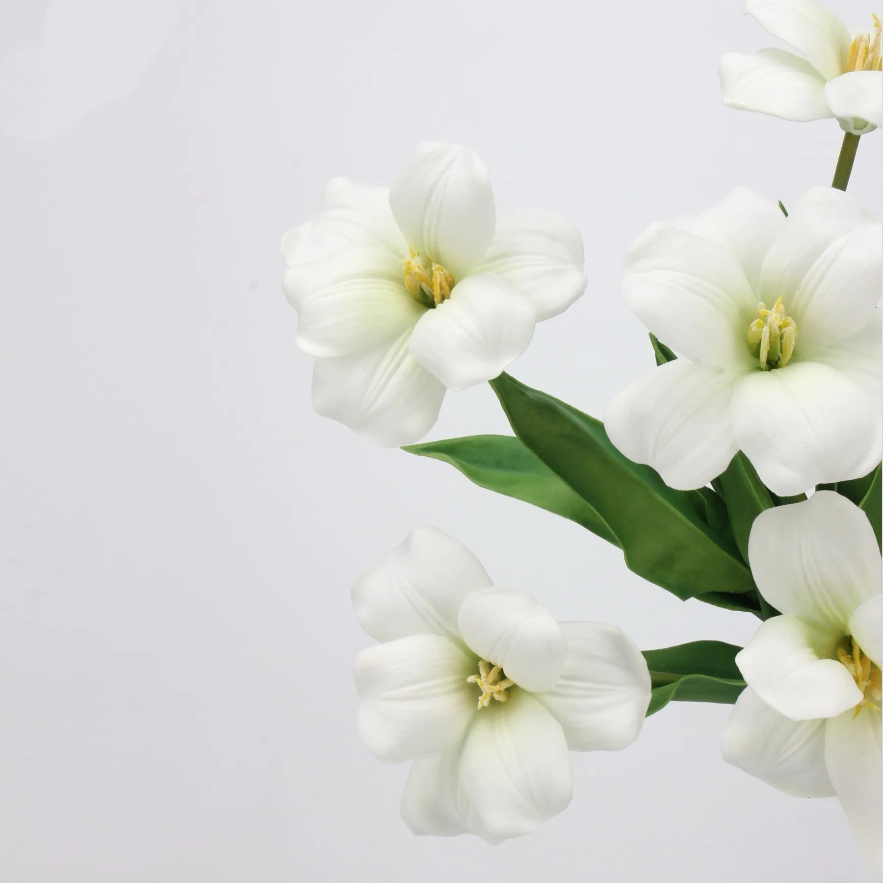 Tulpenstiel „Real Touch Brownie“, Weiß – 48 cm