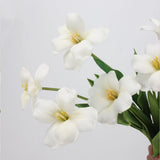 Tulpenstiel „Real Touch Brownie“, Weiß – 48 cm