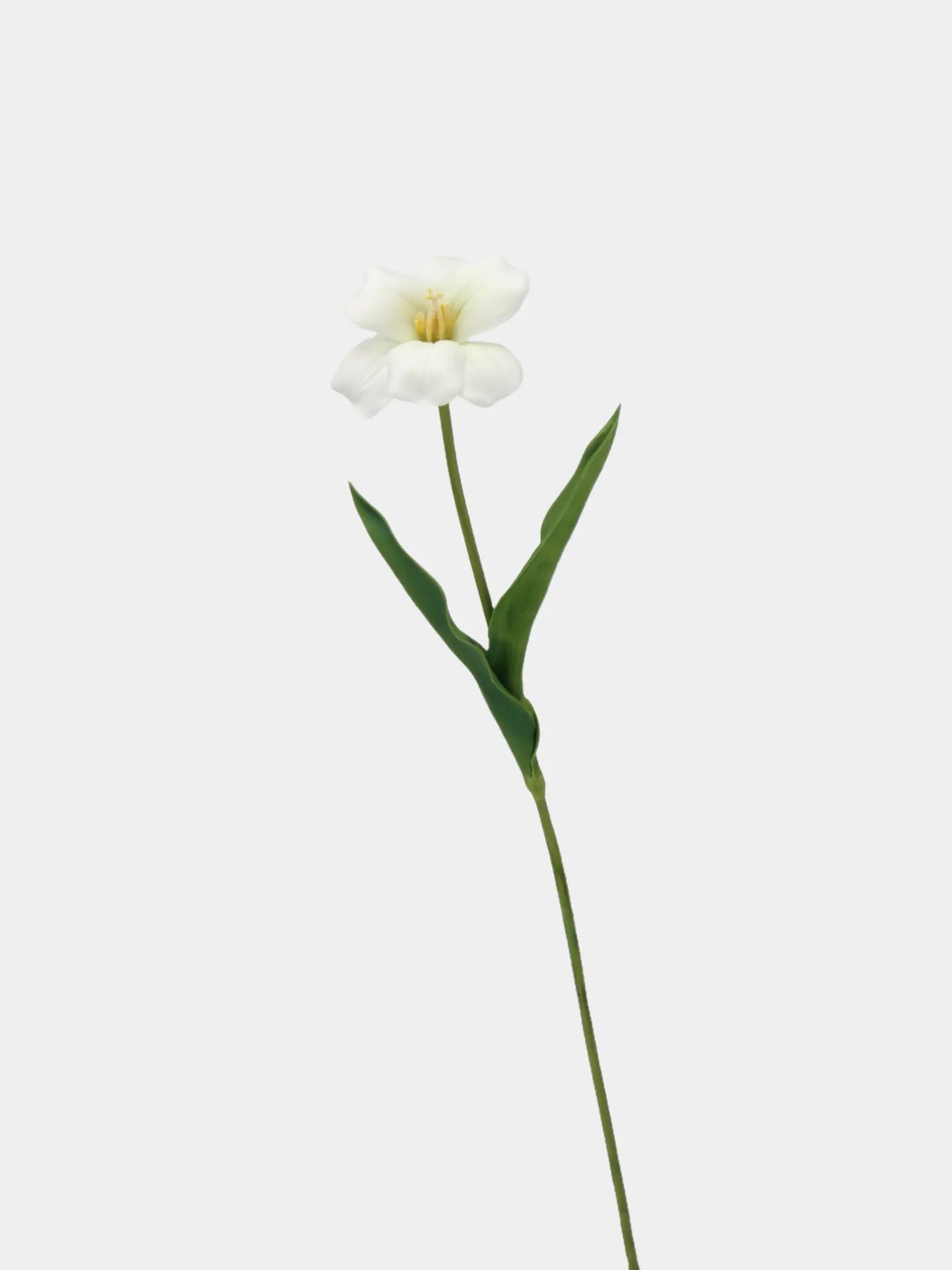 Tulpenstiel „Real Touch Brownie“, Weiß – 48 cm