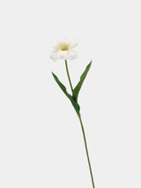 Tulpenstiel „Real Touch Brownie“, Weiß – 48 cm