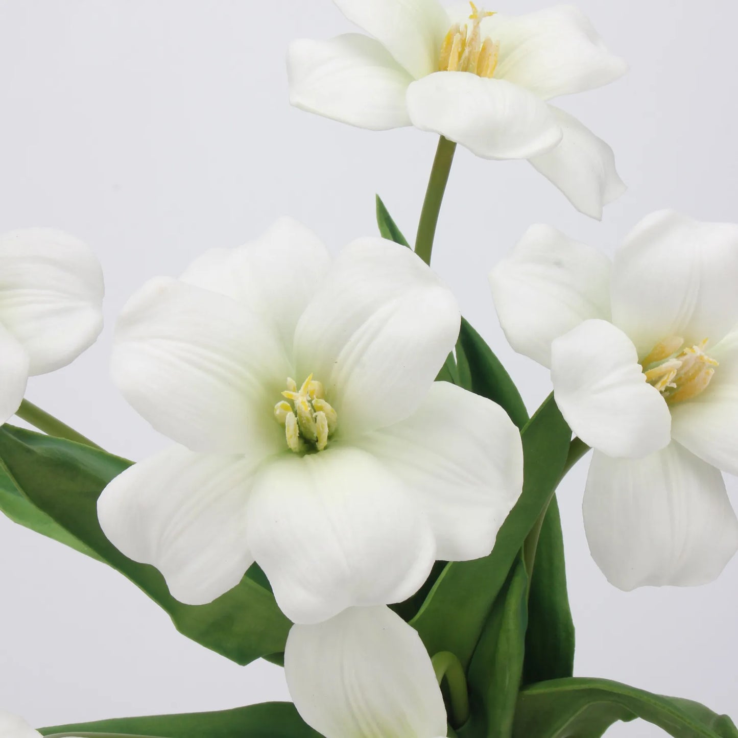 Tulpenstiel „Real Touch Brownie“, Weiß – 48 cm