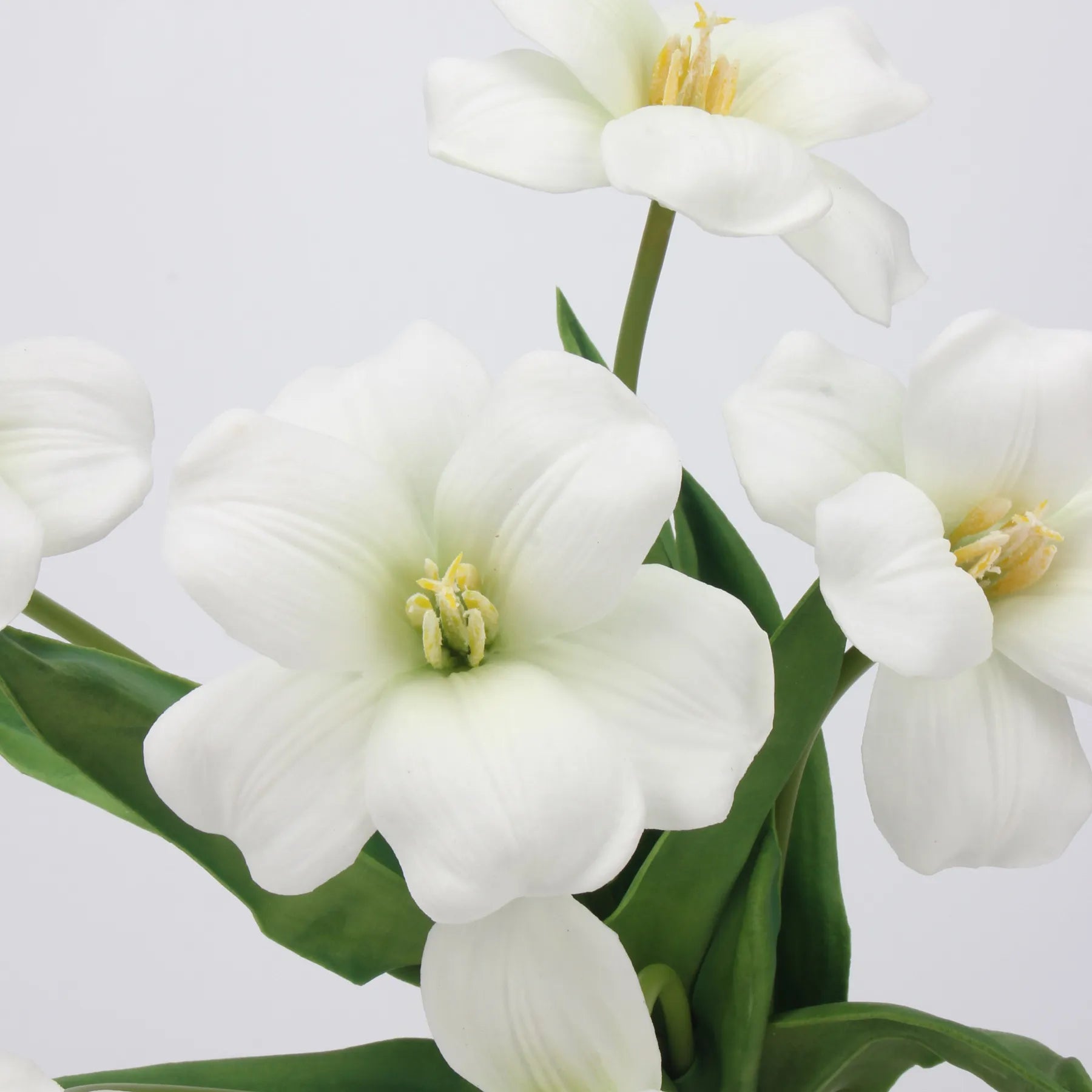 Tulpenstiel „Real Touch Brownie“, Weiß – 48 cm