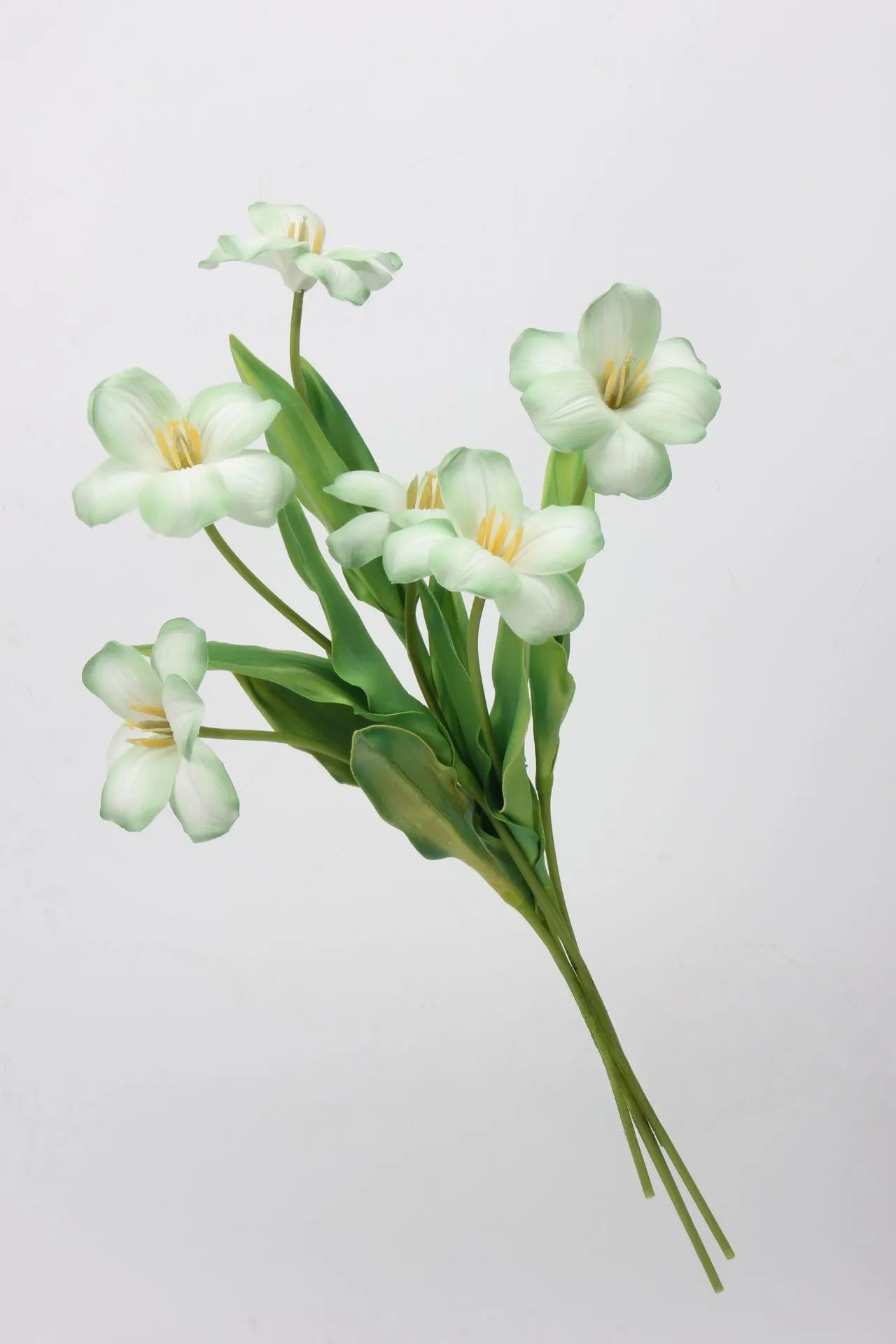 Real Touch Brownie Tulpenstiel – Weiß und Grün – 48 cm