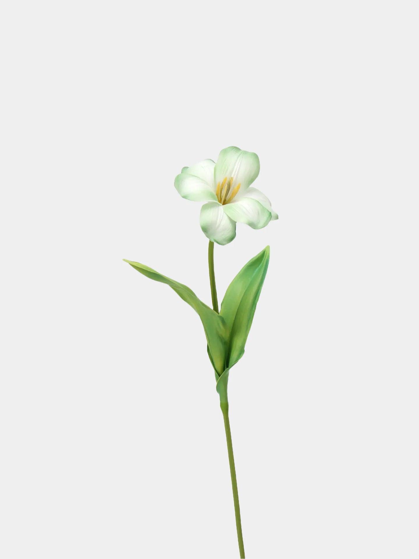 Real Touch Brownie Tulpenstiel – Weiß und Grün – 48 cm