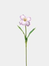 Real Touch Brownie Tulpenstiel – Weiß und Lavendel – 48 cm