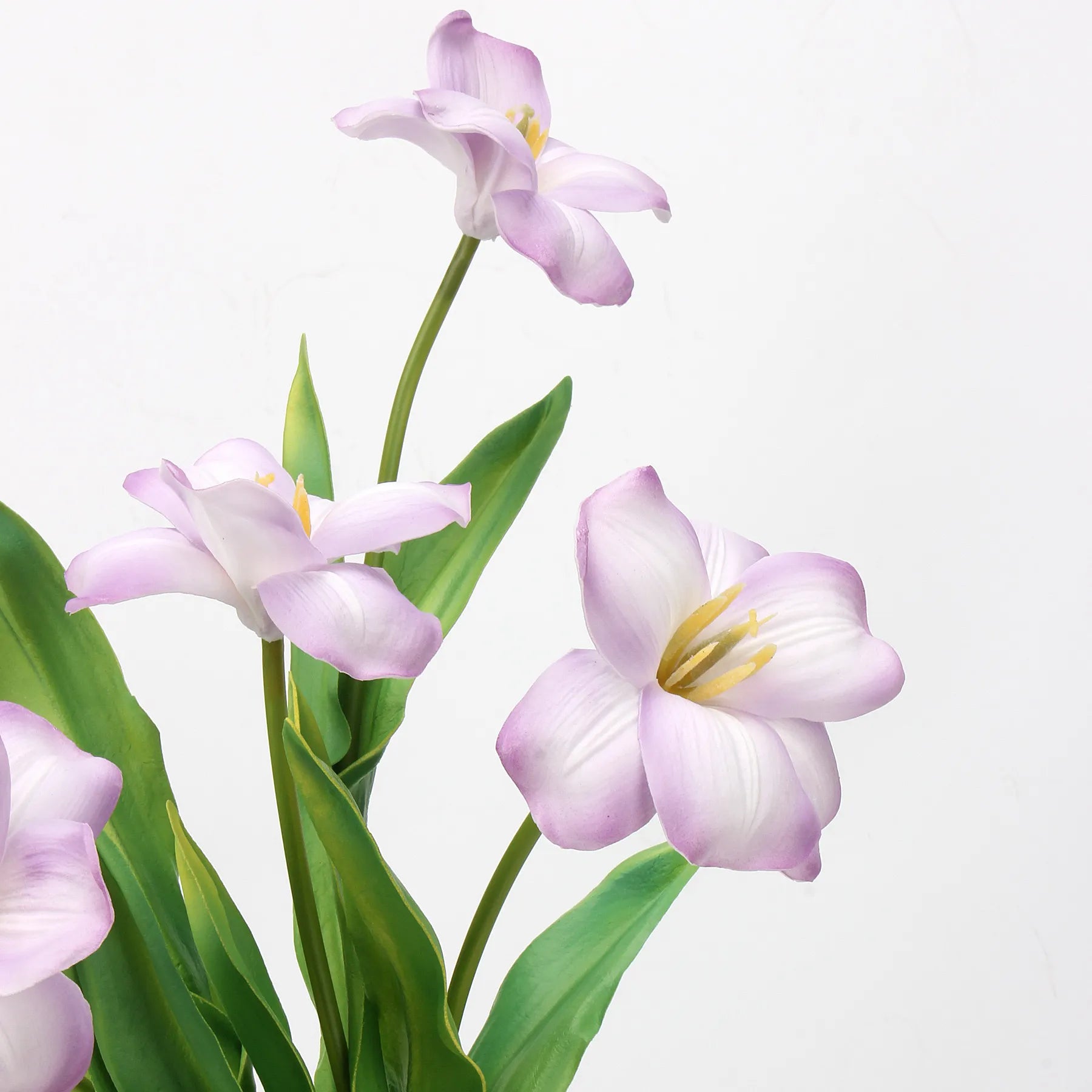 Real Touch Brownie Tulpenstiel – Weiß und Lavendel – 48 cm