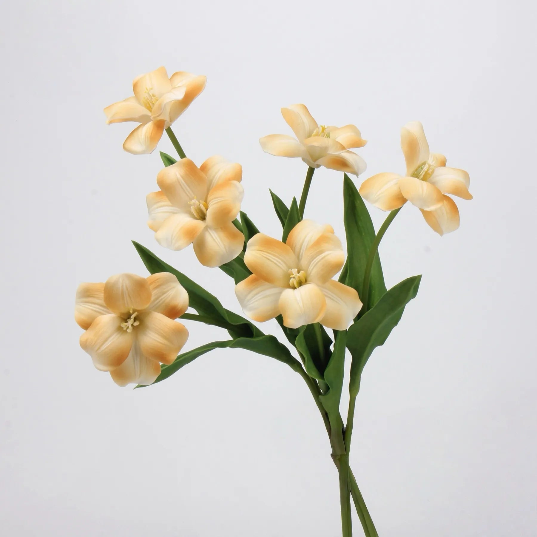 Real Touch Brownie Tulpenstiel – Safrangelb–48 cm