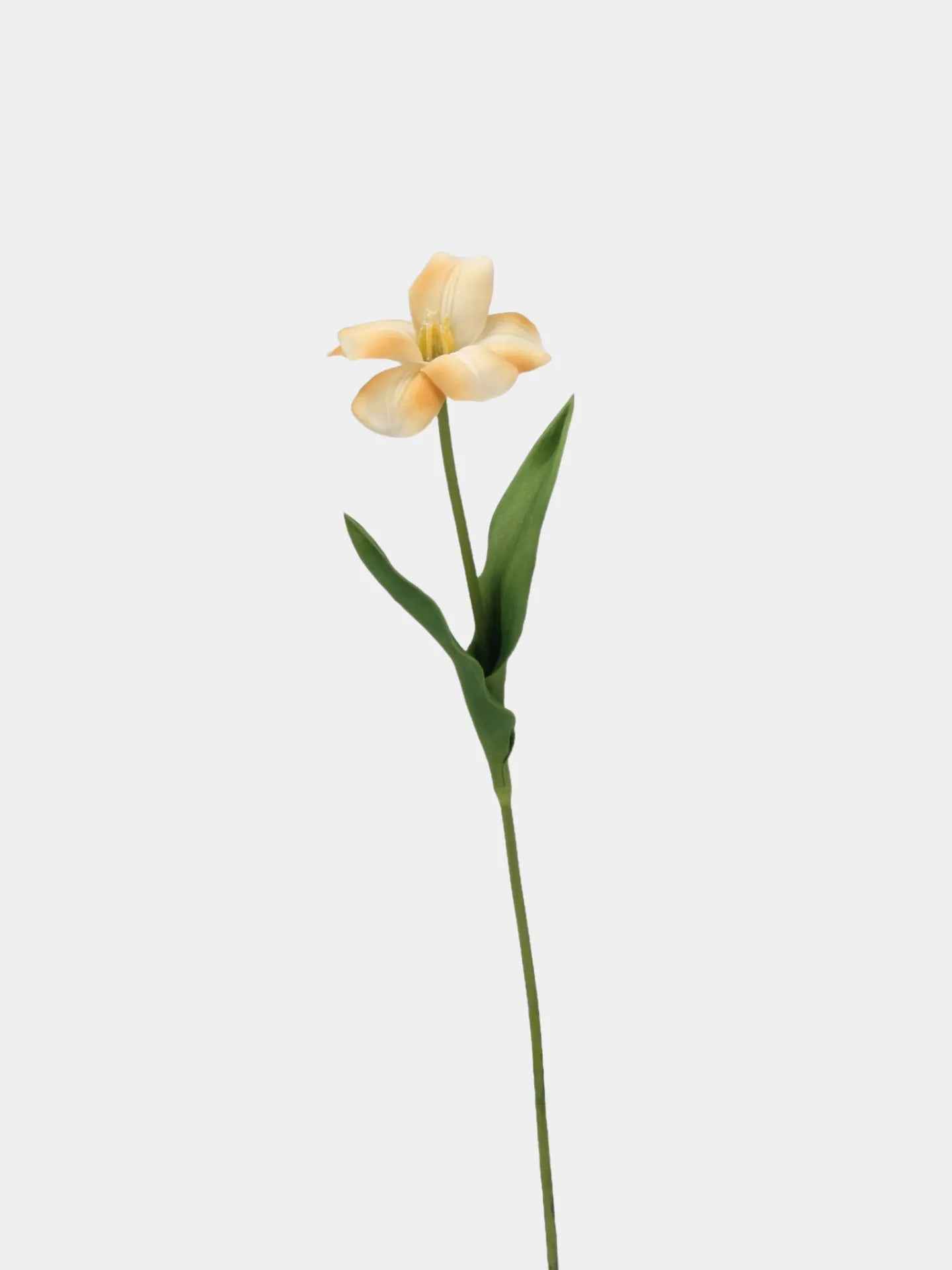 Real Touch Brownie Tulpenstiel – Safrangelb–48 cm