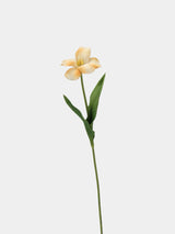 Real Touch Brownie Tulpenstiel – Safrangelb–48 cm