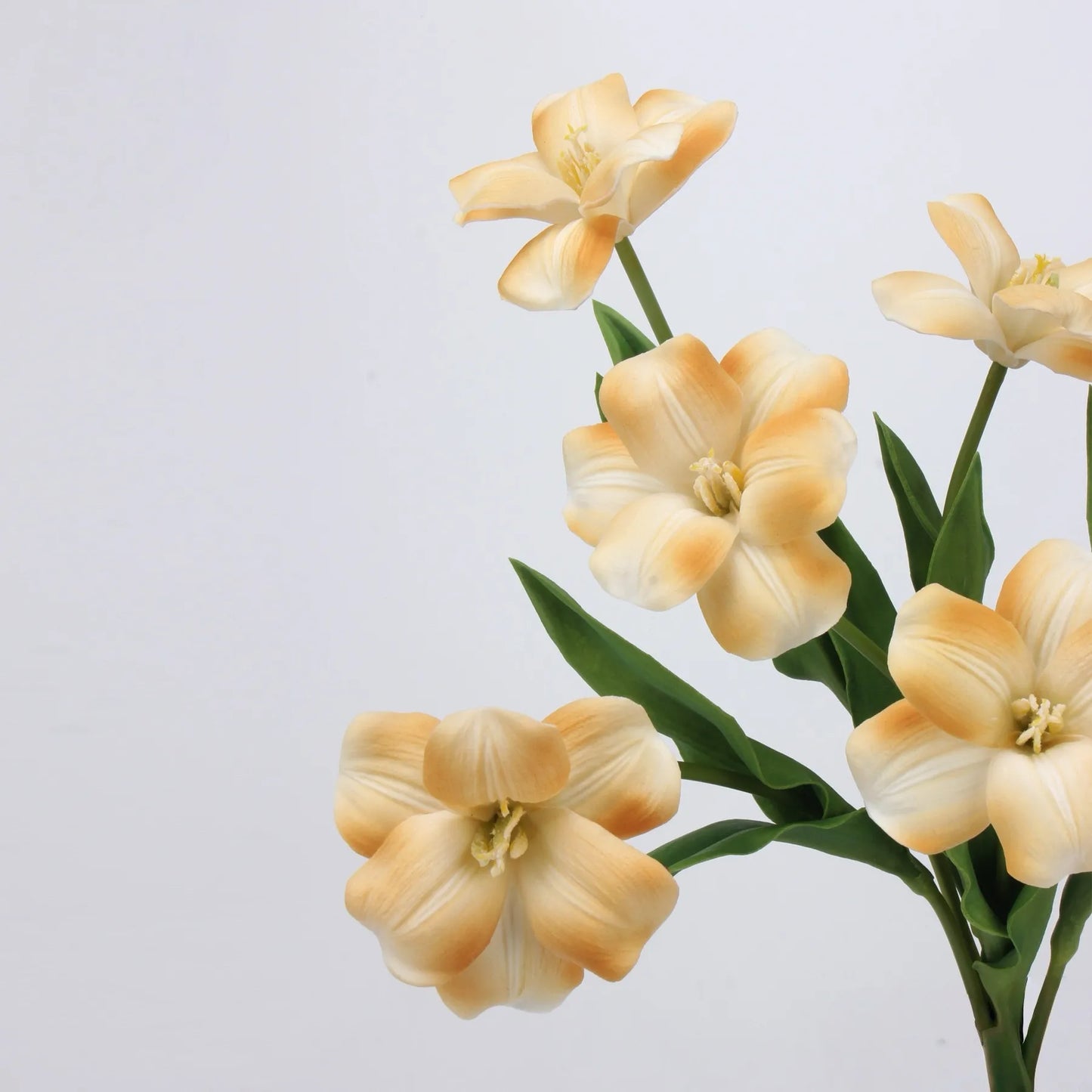 Real Touch Brownie Tulpenstiel – Safrangelb–48 cm