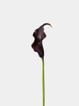 Real Touch Calla Lily Stem – 24"