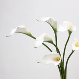 Real Touch Calla Lily Stem