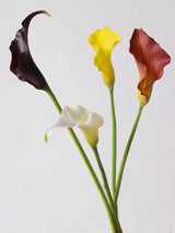 Real Touch Calla Lily Stem – 24"