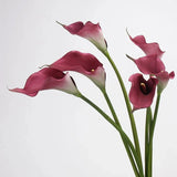 Real Touch Calla Lily Stem