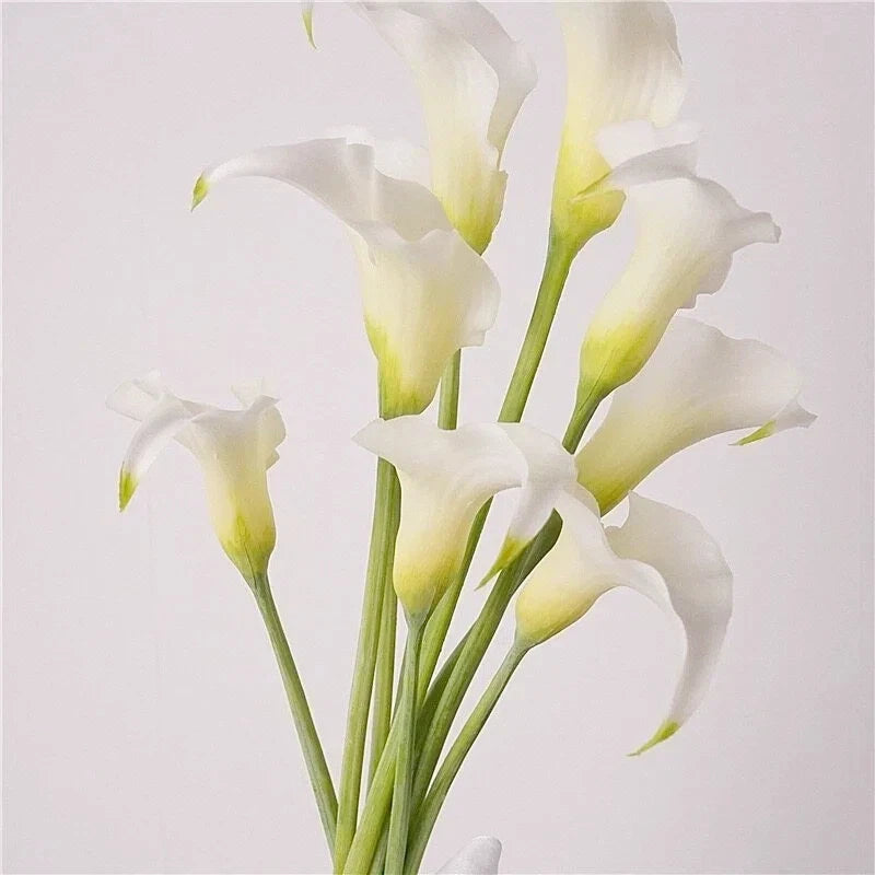 Real Touch Calla Lily Stem – 24"