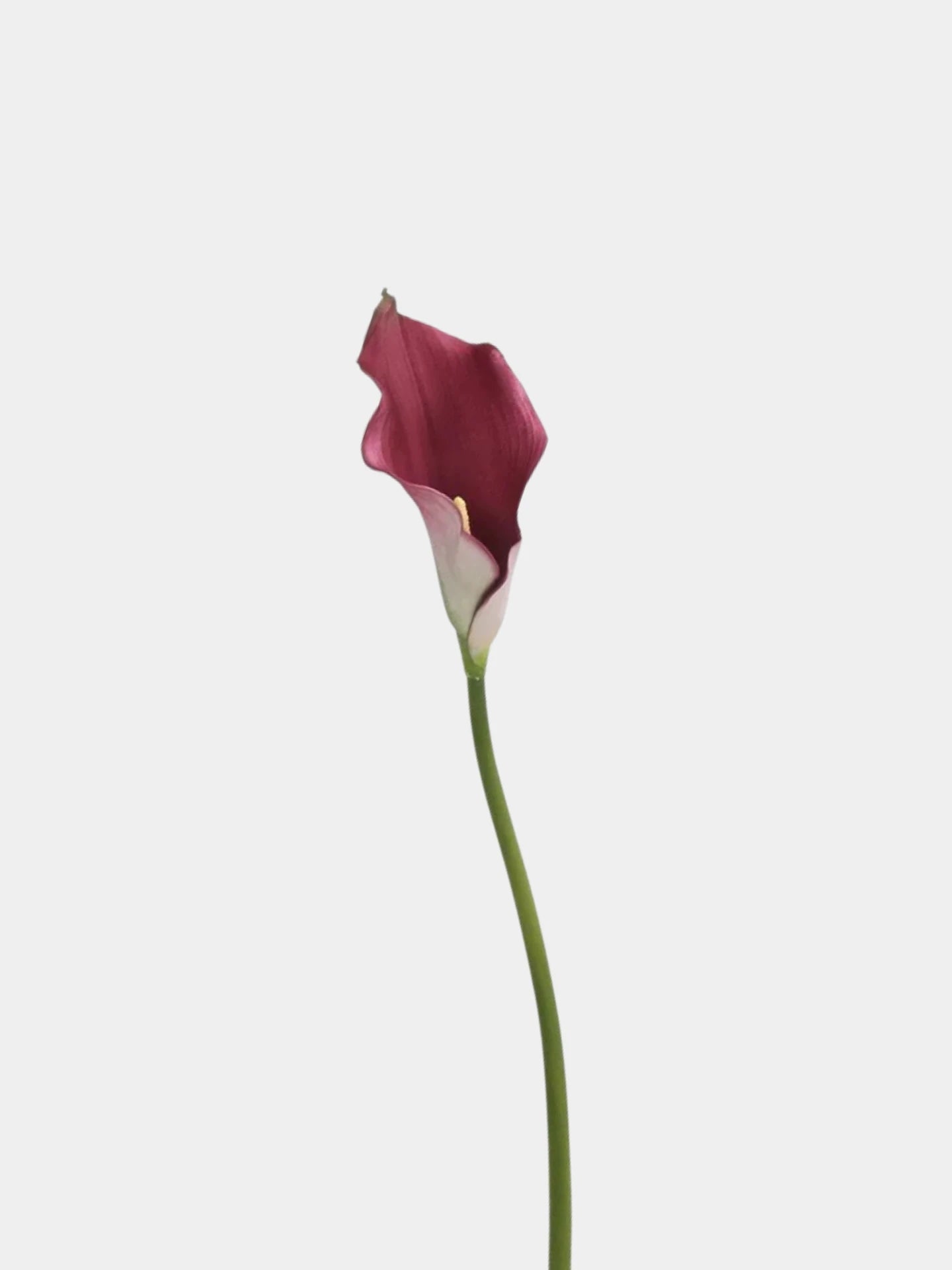 Real Touch Calla Lily Stem