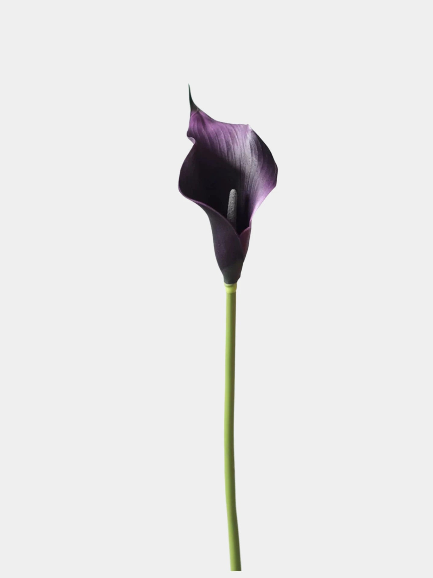 Real Touch Calla Lily Stem – 27"