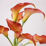 Real Touch Calla Lily Stem – 24"