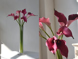 Real Touch Calla Lily Stem