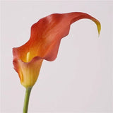 Real Touch Calla Lily Stem – 24"