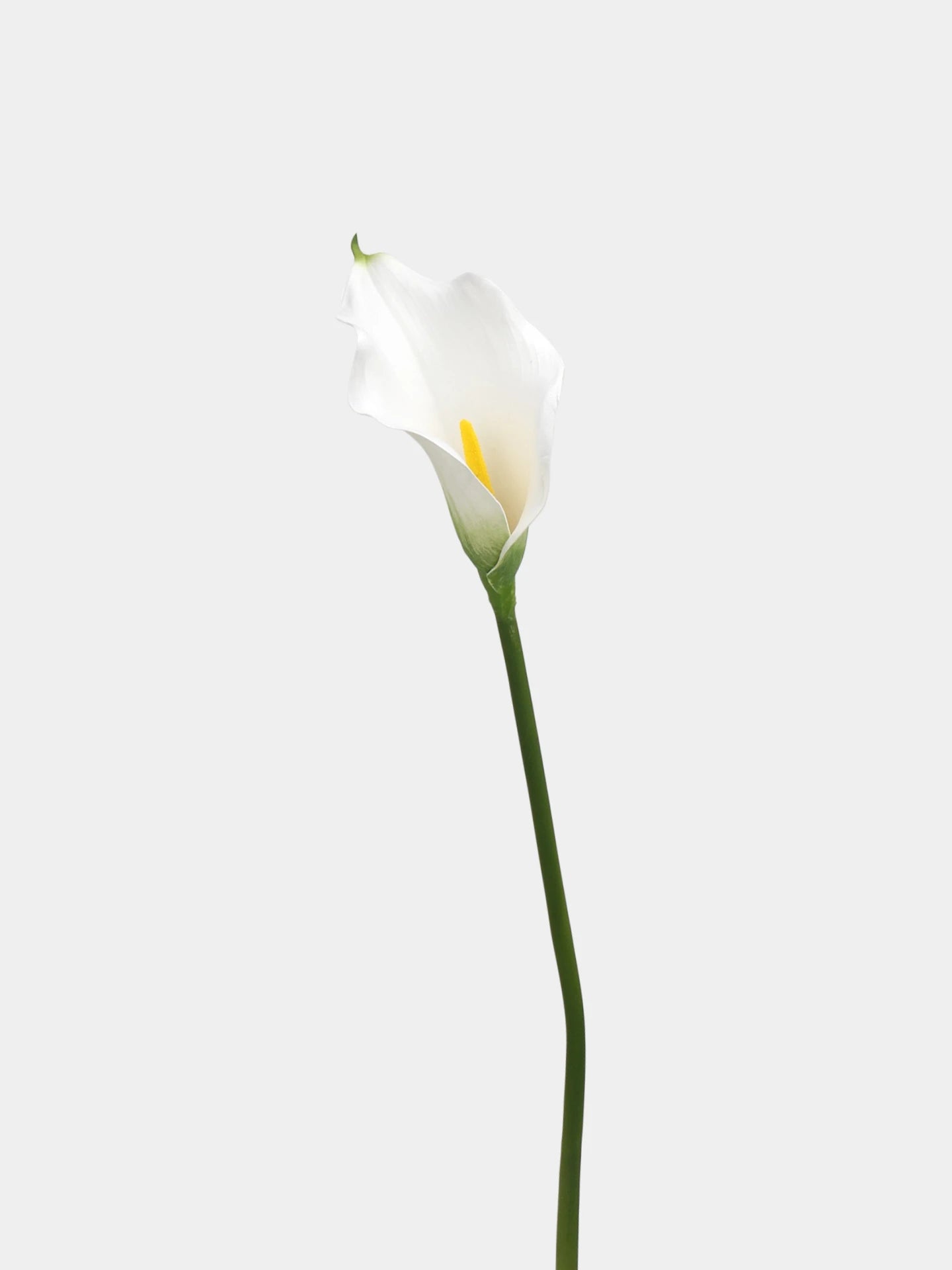 Real Touch Calla Lily Stem