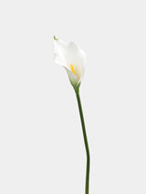 Real Touch Calla Lily Stem