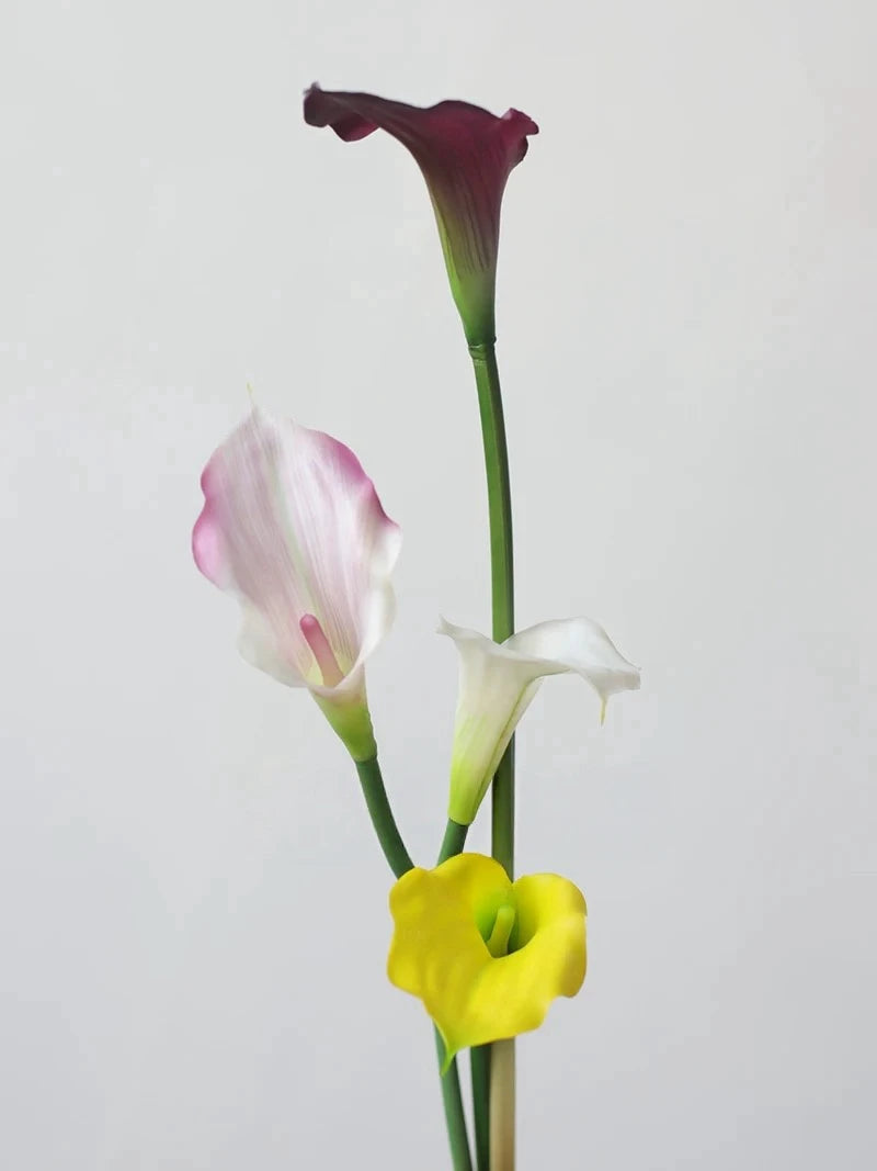 Echte Calla-Lilie – 66 cm