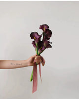 Echte Calla-Lilie – 66 cm