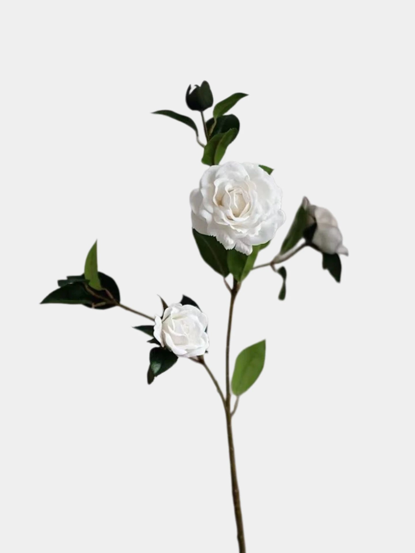 Real Touch Camellia Flower Stem – 28"