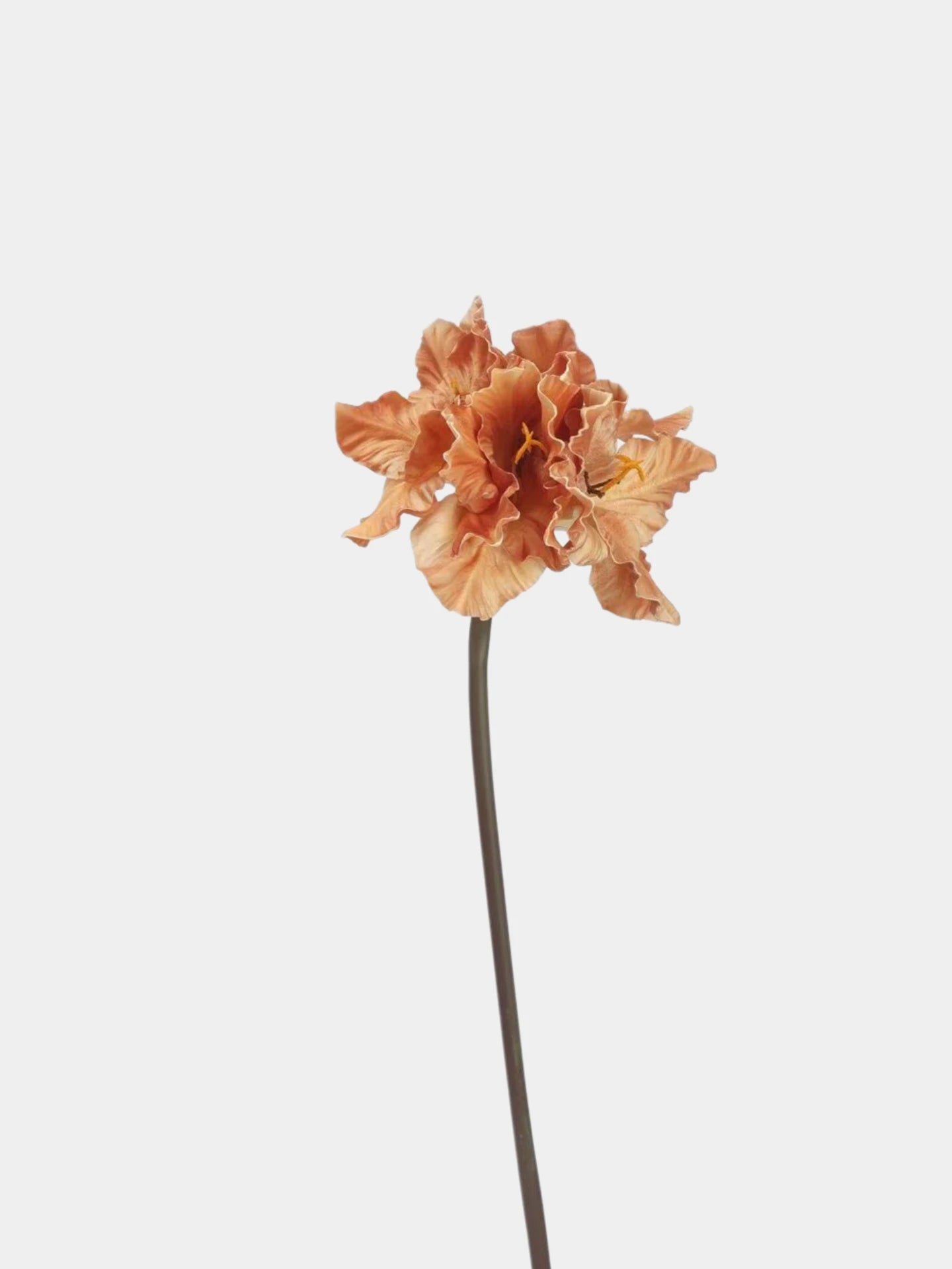 Real Touch Clivia Lily Flower Stem – 28"