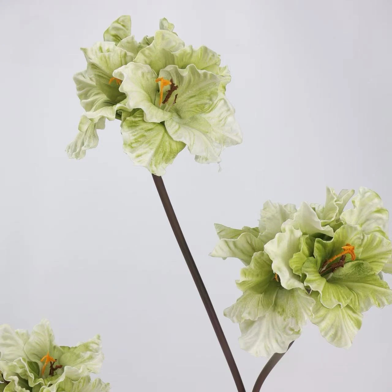 Real Touch Clivia Lily Flower Stem – 28"
