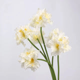 Real Touch Clivia Lily Flower Stem – 28"