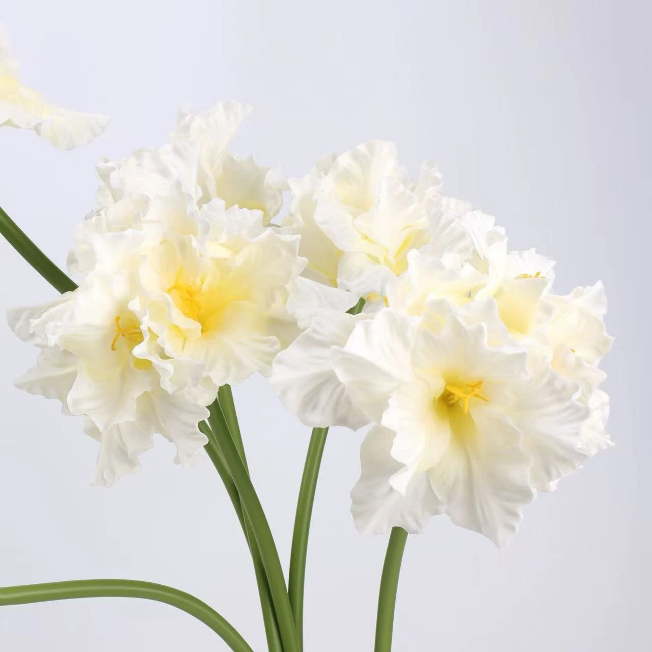 Real Touch Clivia Lily Flower Stem – 28"