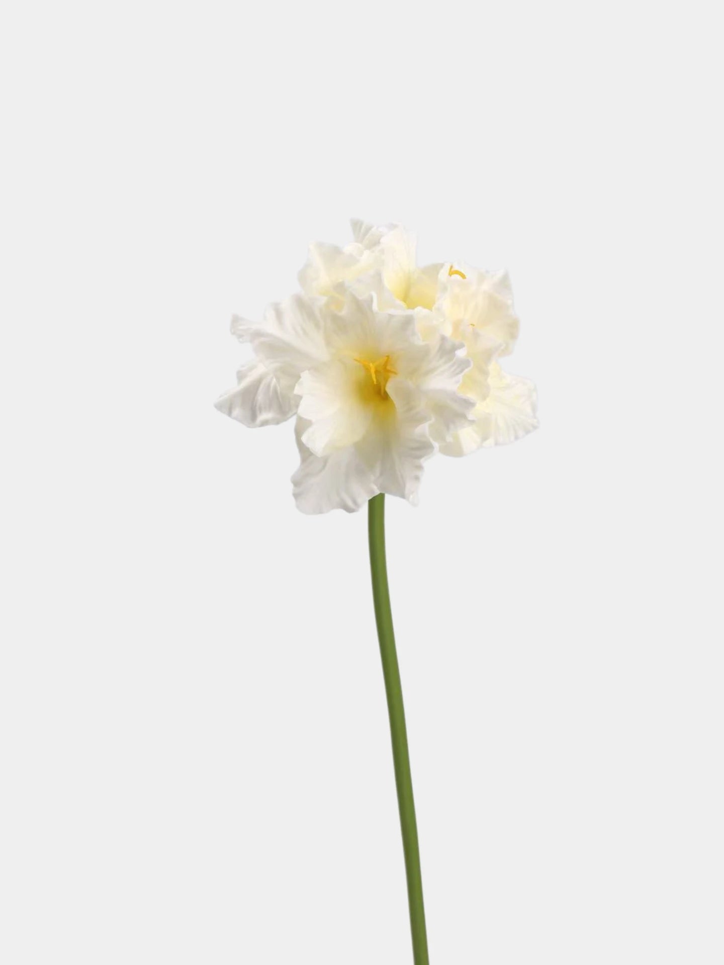 Real Touch Clivia Lily Flower Stem – 28"