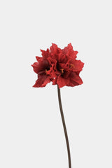 Real Touch Clivia Lily Flower Stem – 28"