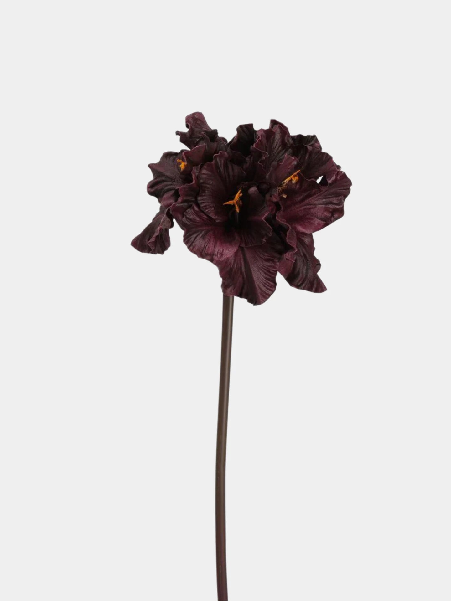 Real Touch Clivia Lily Flower Stem – 28"