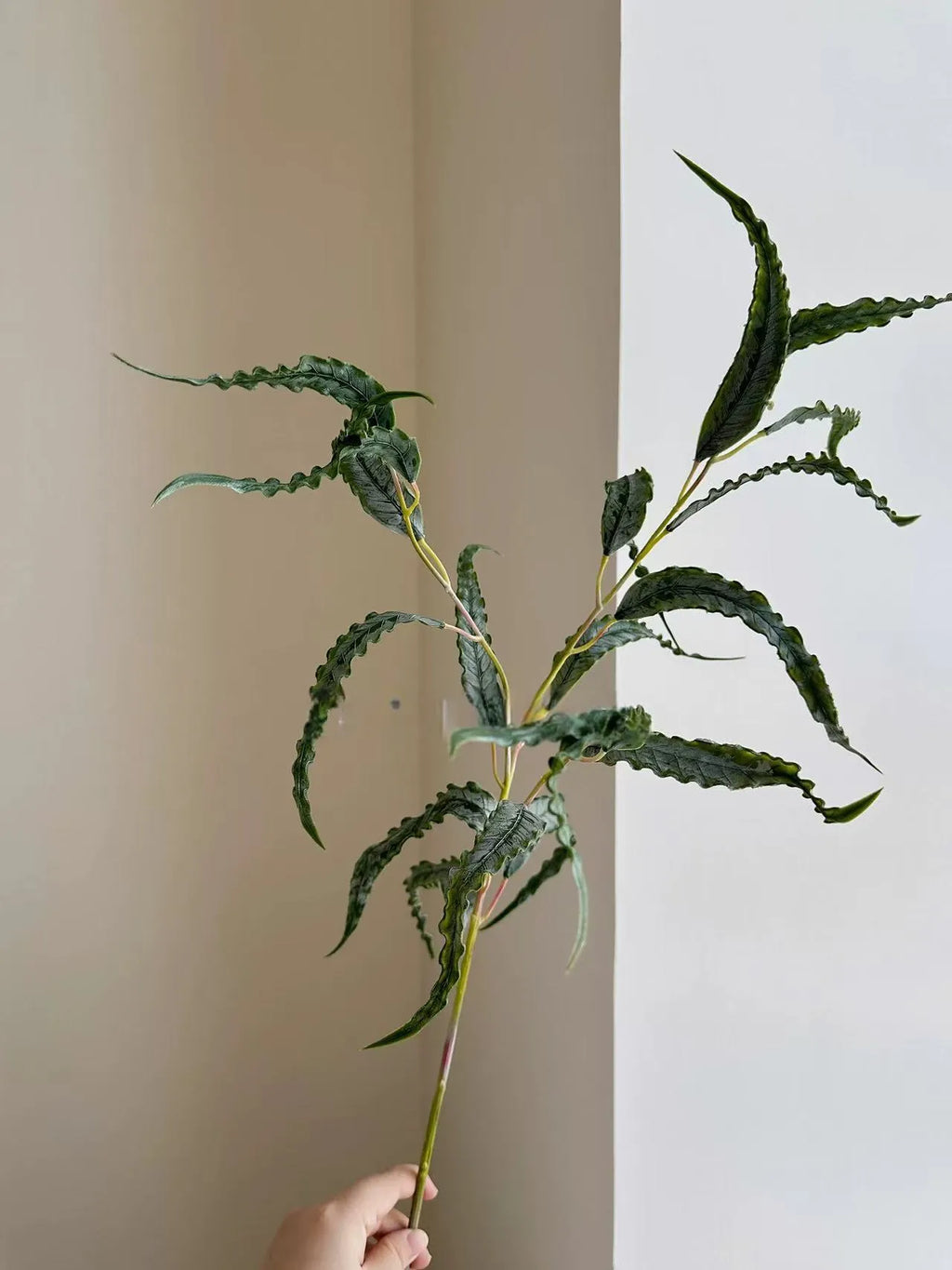 Real Touch Curled Eucalyptus Leaves  – 27″  Faux Greenery