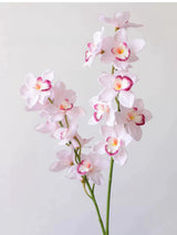 Echte Cymbidium-Orchidee – 89 cm