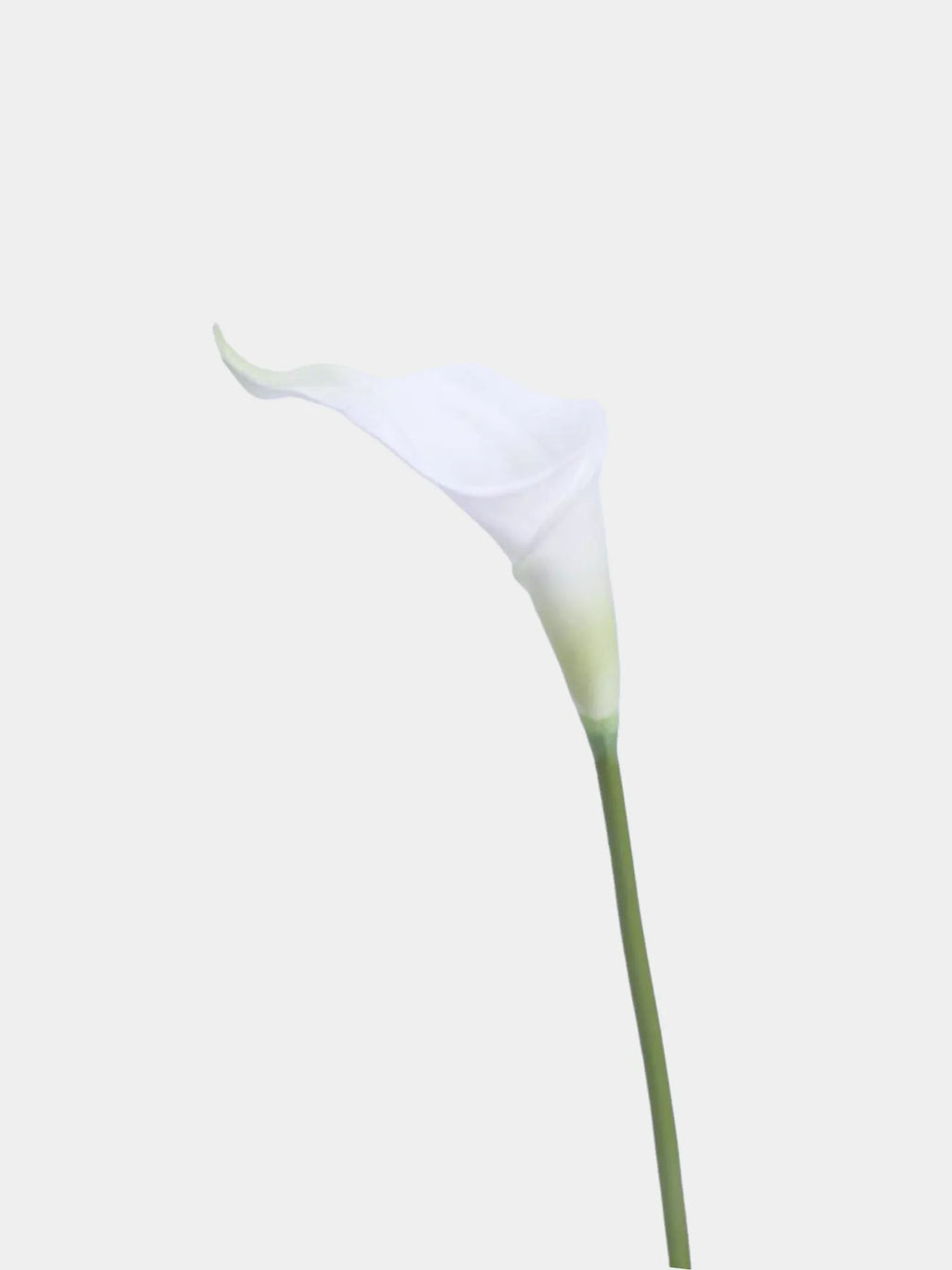 Real Touch Faux Calla Lily Stem – White 20.9″