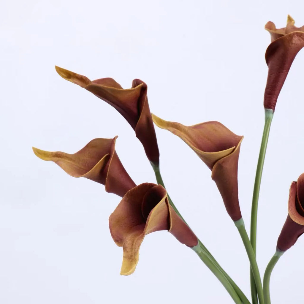 Real Touch Faux Calla Lily Stem – Brown 20.9″