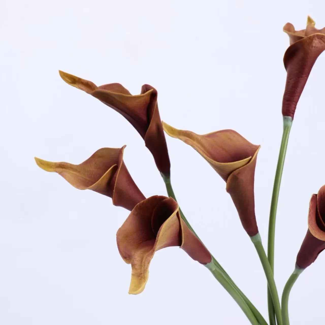 Real Touch Faux Calla Lily Stem – Brown 20.9″