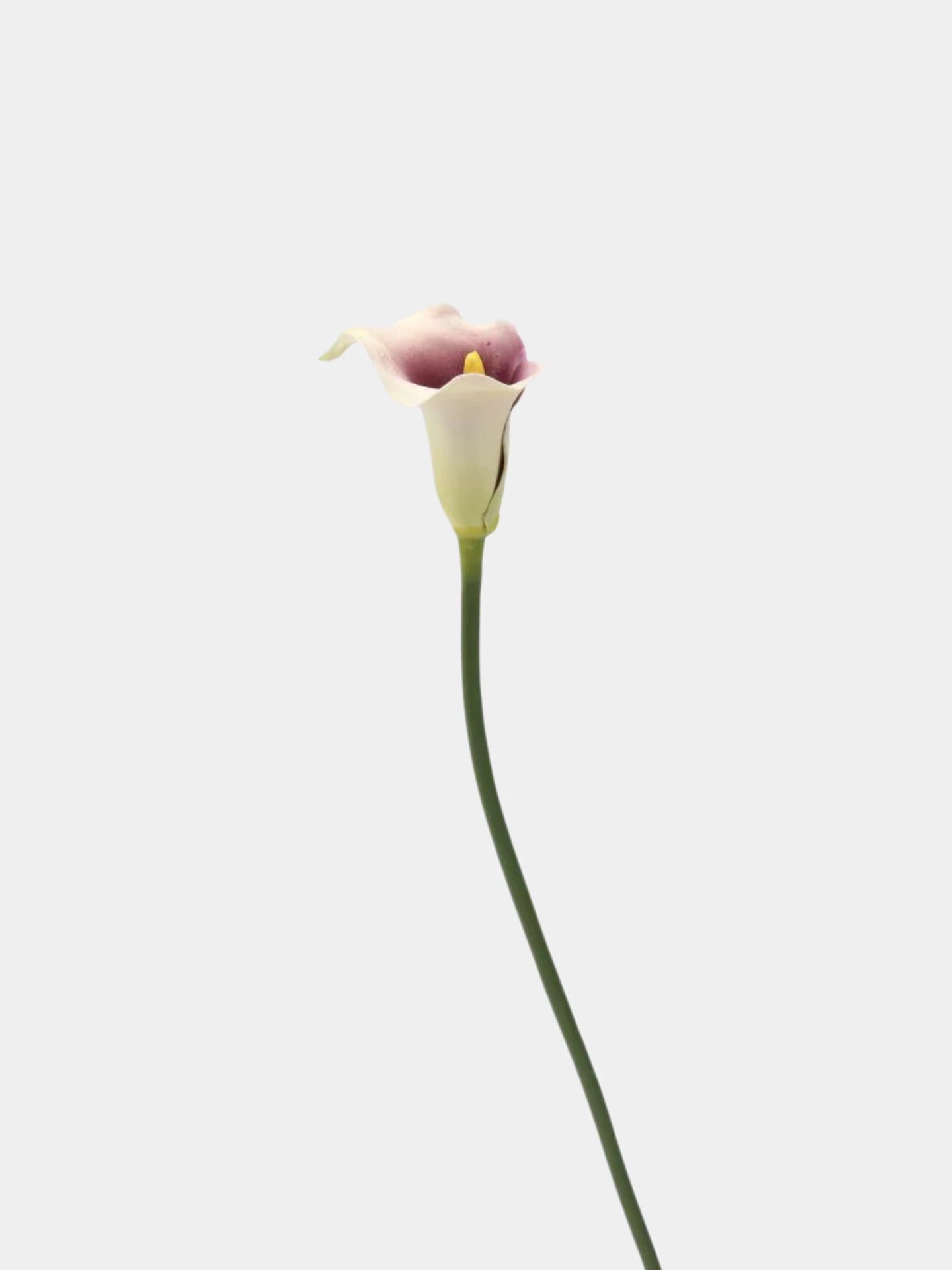 Real Touch Faux Calla Lily Stem - 25"