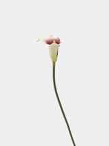 Real Touch Faux Calla Lily Stem - 25"