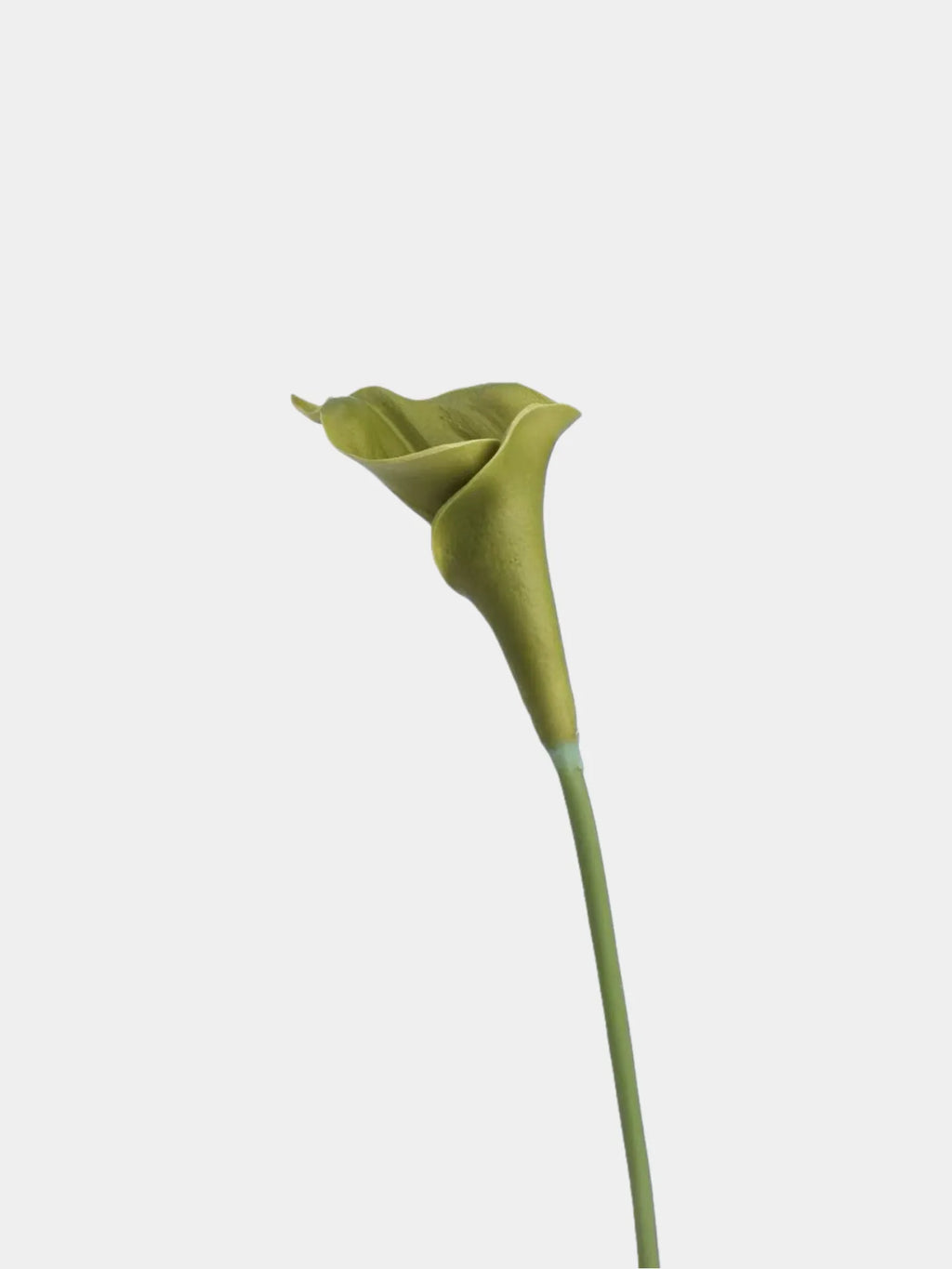Real Touch Faux Calla Lily Stem – Green 20.9″