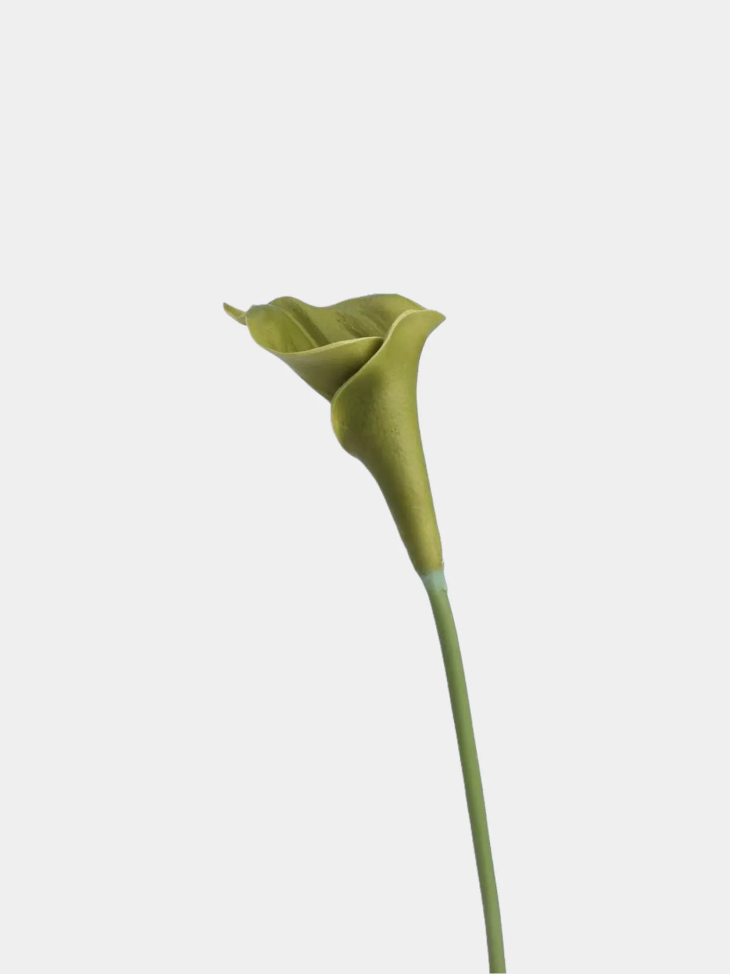 Real Touch Faux Calla Lily Stem – Green 20.9″