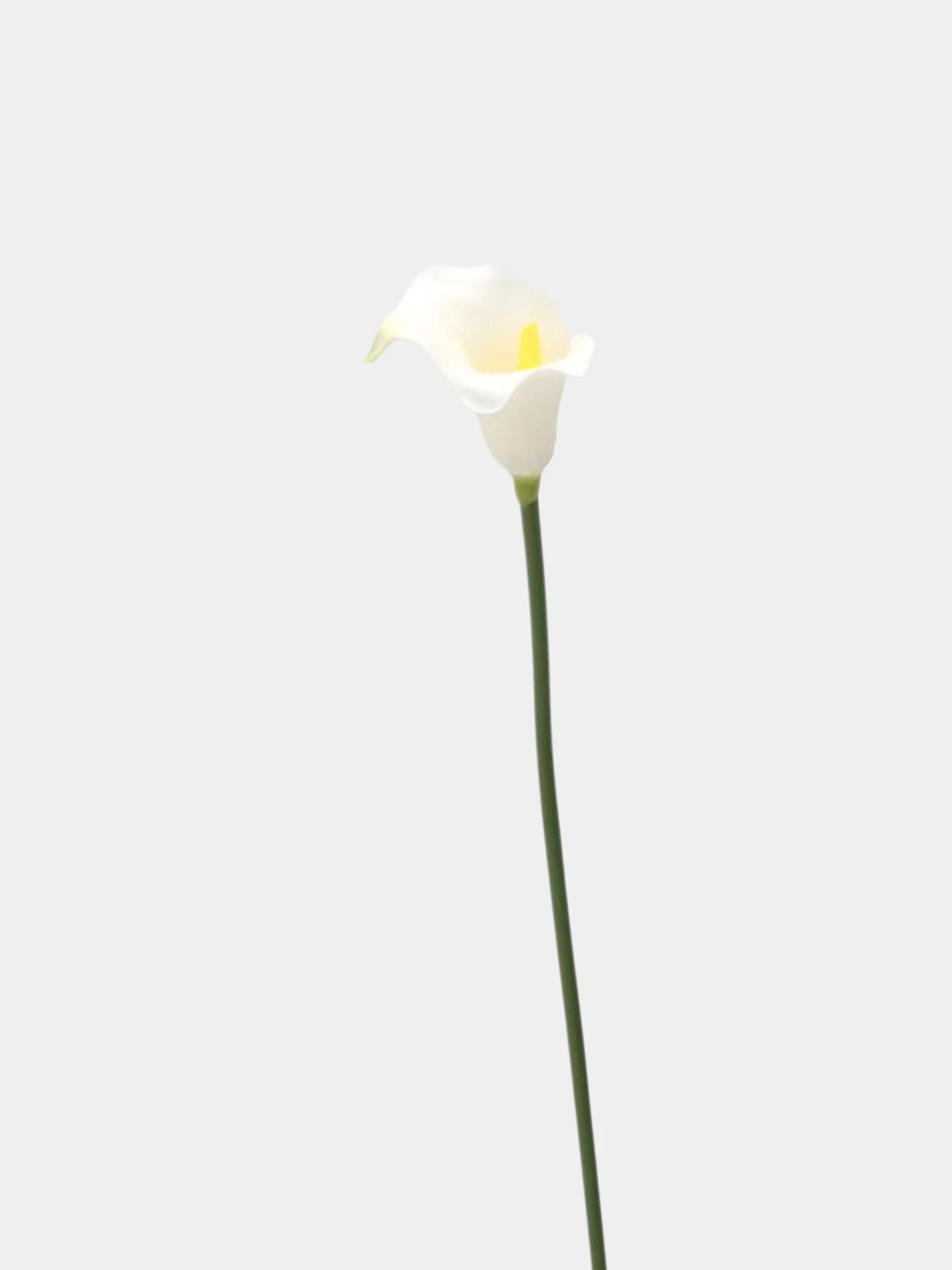 Real Touch Faux Calla Lily Stem - 25"