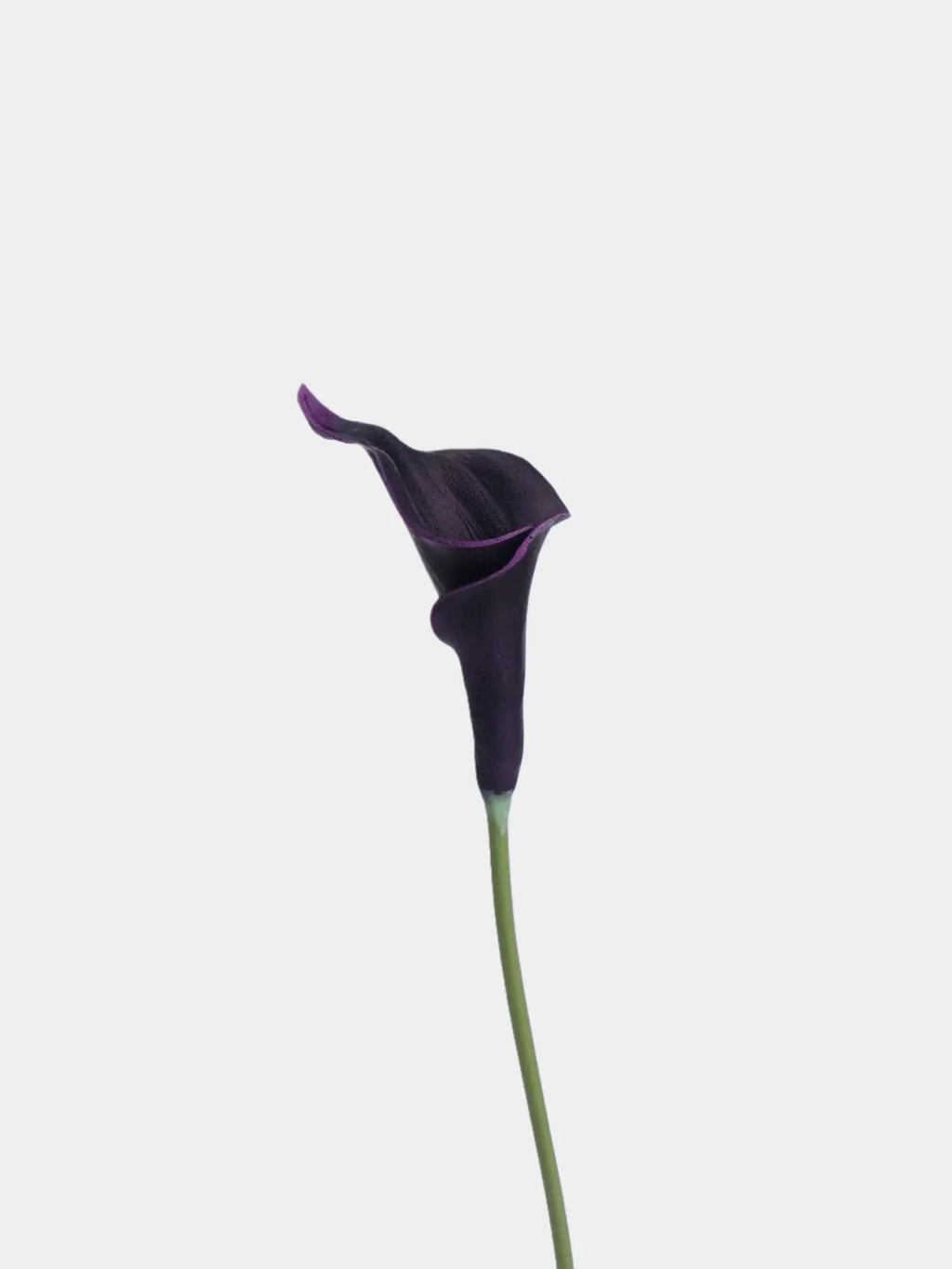 Real Touch Faux Calla Lily Stem –Dark Purple 20.9″